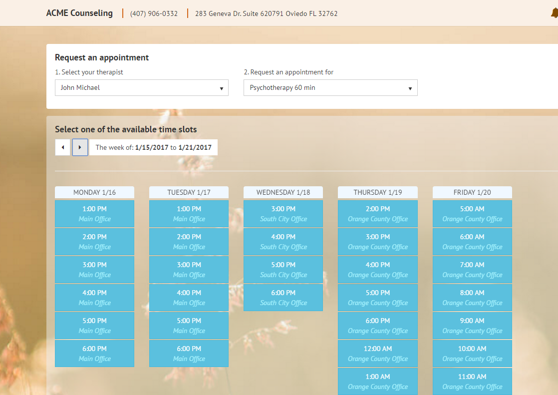 Easily accessible client portal in TherapyZen